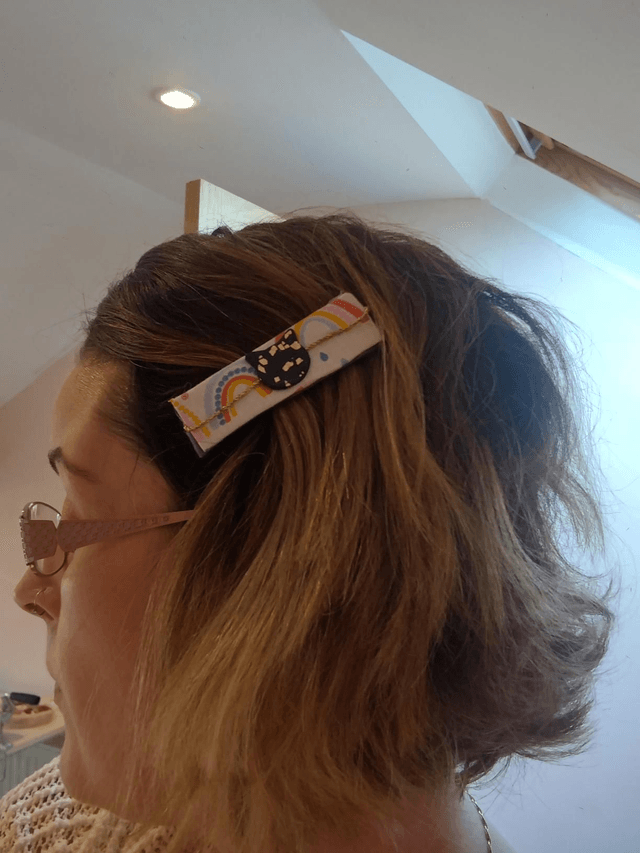 Handmade Rainbow cat hair clip 